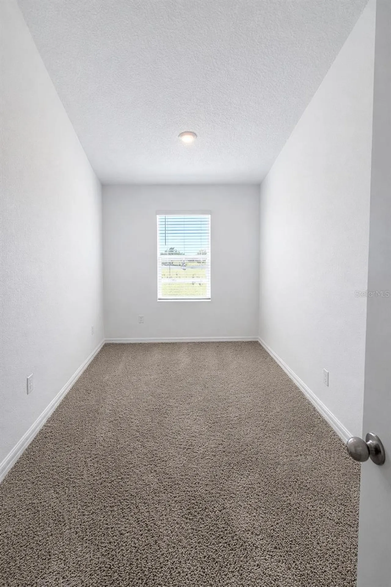 17260 English Chestnut Way Land O Lakes FL 34638