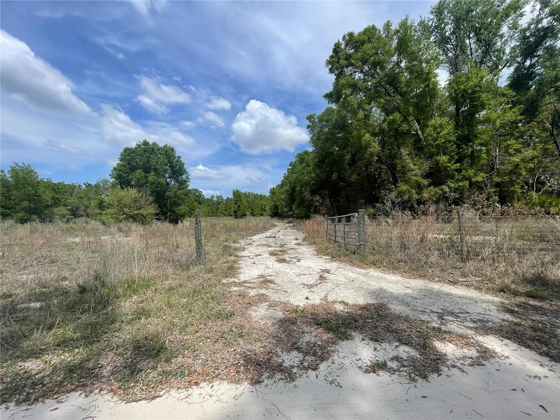 7157 NW 120th Street Chiefland FL 32626