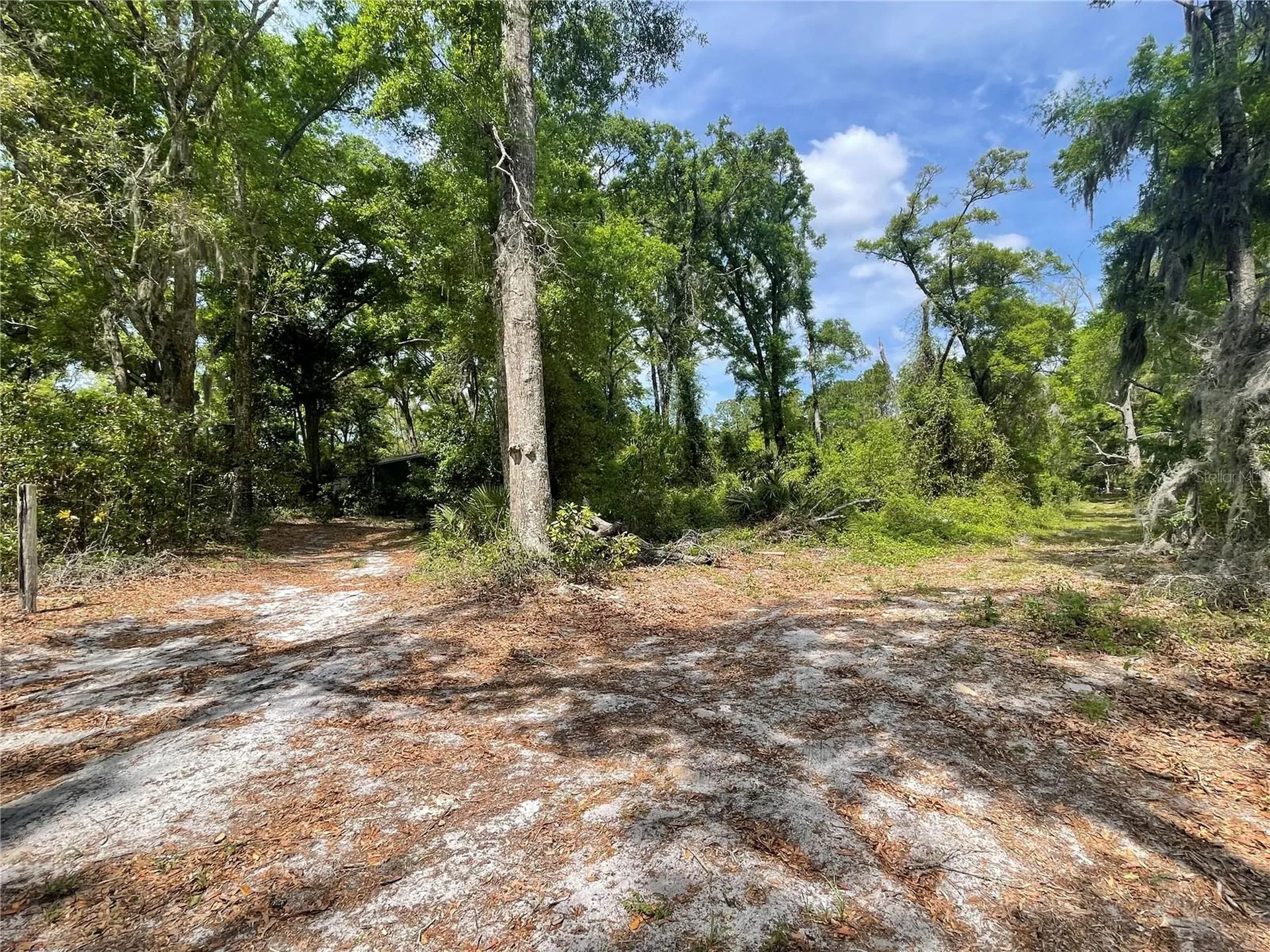 7157 NW 120th Street Chiefland FL 32626
