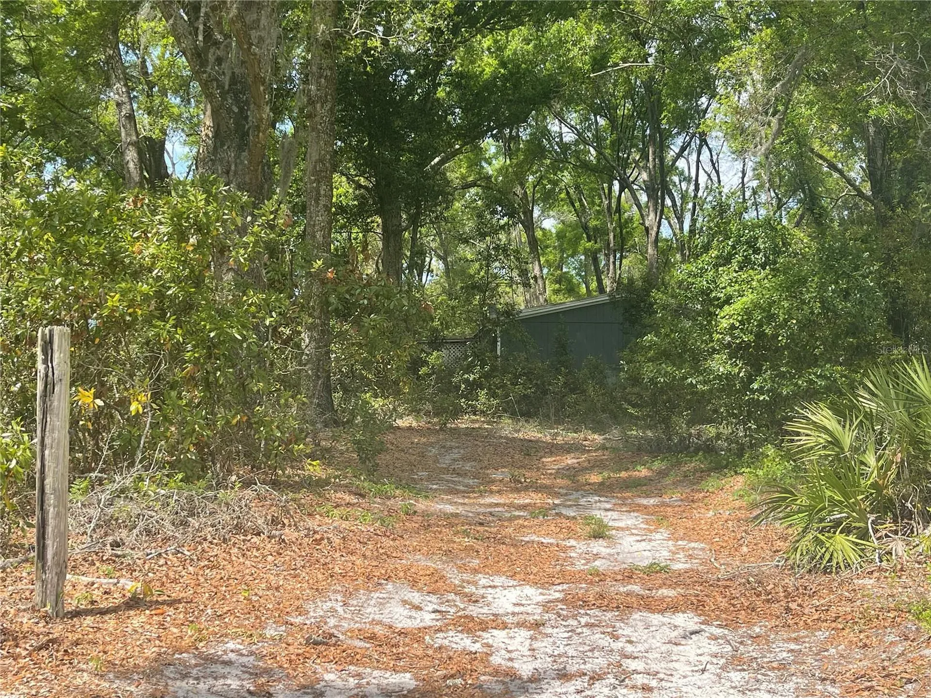 7157 NW 120th Street Chiefland FL 32626