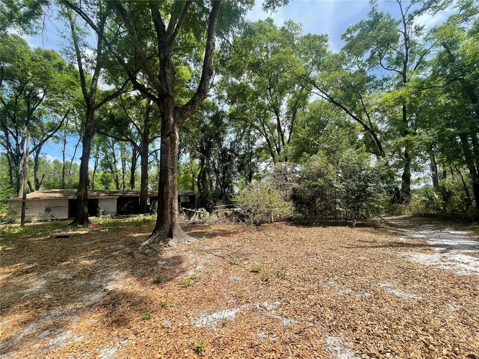 7157 NW 120th Street Chiefland FL 32626