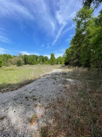 7157 NW 120th Street Chiefland FL 32626
