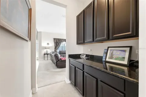 4924 Butler National Drive Wesley Chapel FL 33543