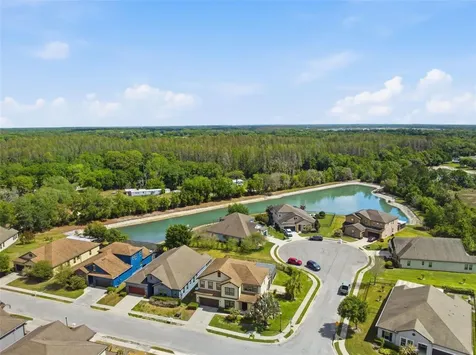 4924 Butler National Drive Wesley Chapel FL 33543