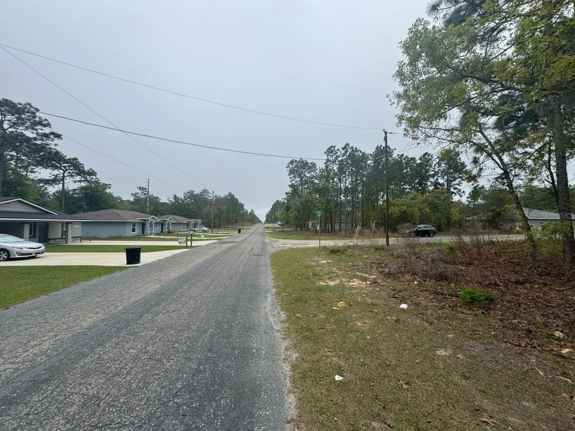 9536 N Camel Drive Dunnellon FL 34434