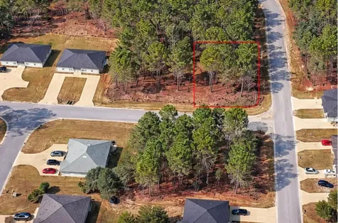 9536 N Camel Drive Dunnellon FL 34434