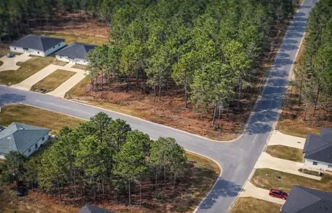 9536 N Camel Drive Dunnellon FL 34434