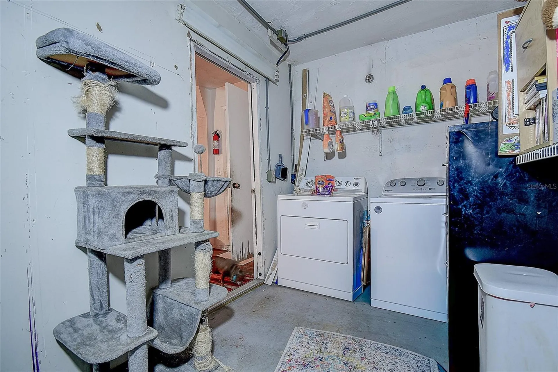 7834 42nd Avenue N St Petersburg FL 33709