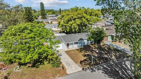 3643 Bedford Street New Port Richey FL 34652