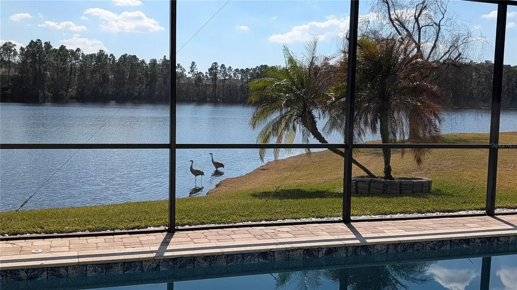 9958 Oak Quarry Drive Orlando FL 32832