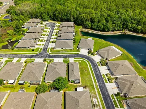 31950 Stillmeadow Drive Wesley Chapel FL 33543