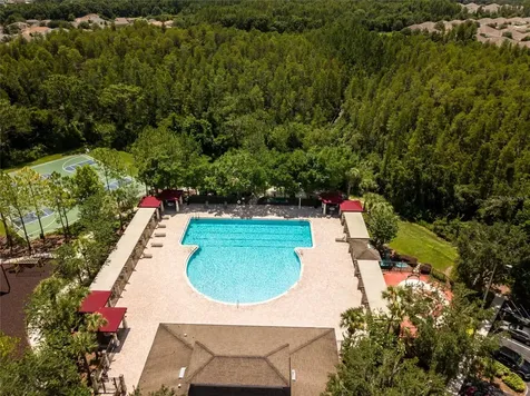 31950 Stillmeadow Drive Wesley Chapel FL 33543