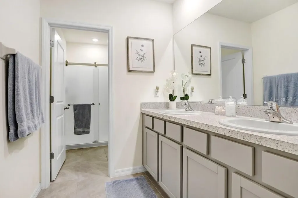 32978 Tulip Petal Lane Wesley Chapel FL 33545