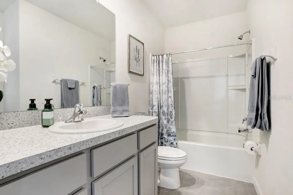 32978 Tulip Petal Lane Wesley Chapel FL 33545