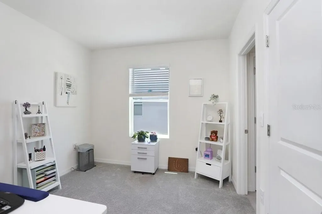 32978 Tulip Petal Lane Wesley Chapel FL 33545