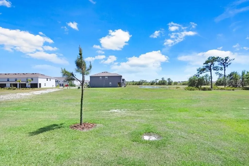 32978 Tulip Petal Lane Wesley Chapel FL 33545