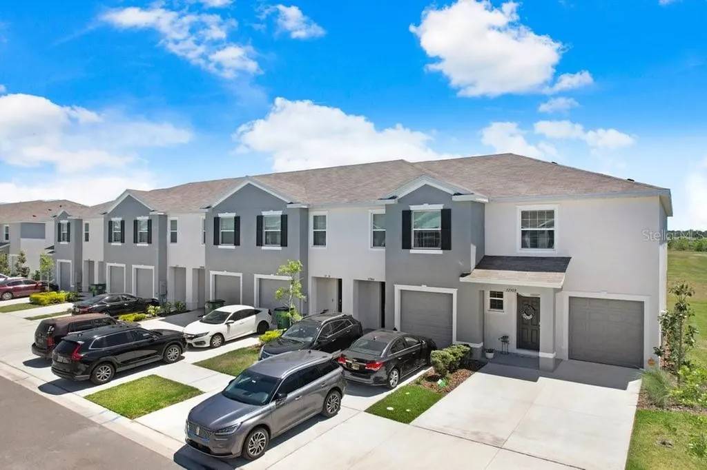 32978 Tulip Petal Lane Wesley Chapel FL 33545