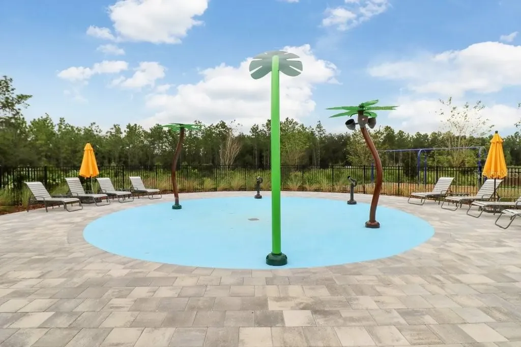32978 Tulip Petal Lane Wesley Chapel FL 33545