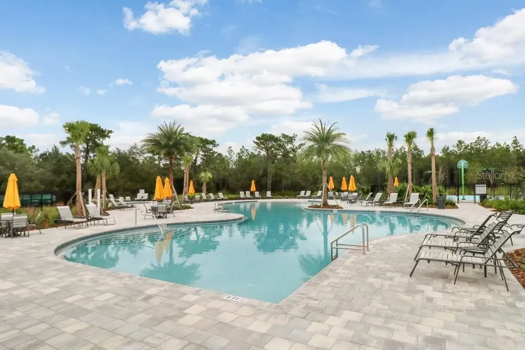 32978 Tulip Petal Lane Wesley Chapel FL 33545