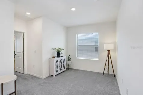 32978 Tulip Petal Lane Wesley Chapel FL 33545