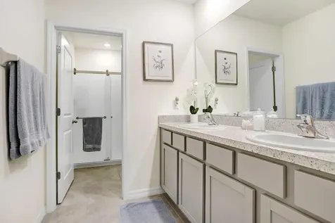 32978 Tulip Petal Lane Wesley Chapel FL 33545