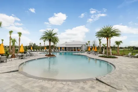 32978 Tulip Petal Lane Wesley Chapel FL 33545