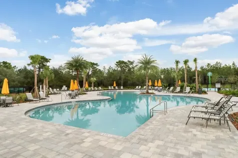 32978 Tulip Petal Lane Wesley Chapel FL 33545