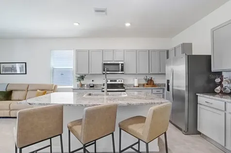 32978 Tulip Petal Lane Wesley Chapel FL 33545