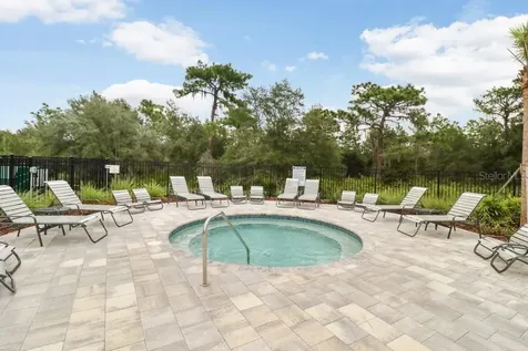 32978 Tulip Petal Lane Wesley Chapel FL 33545