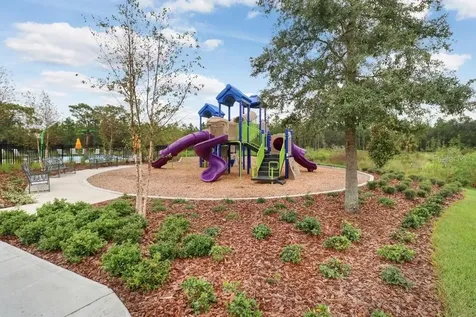 32978 Tulip Petal Lane Wesley Chapel FL 33545