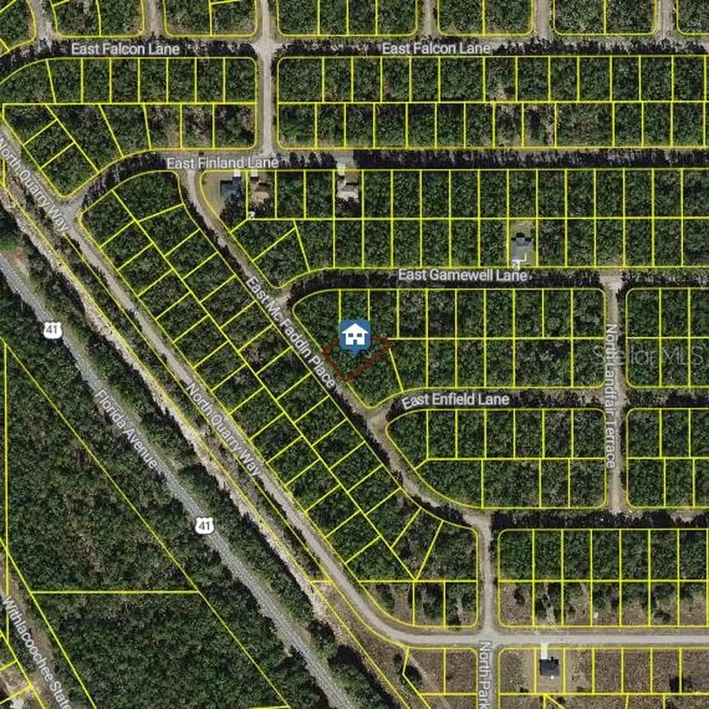 198 E Mcfaddin Place Dunnellon FL 34434