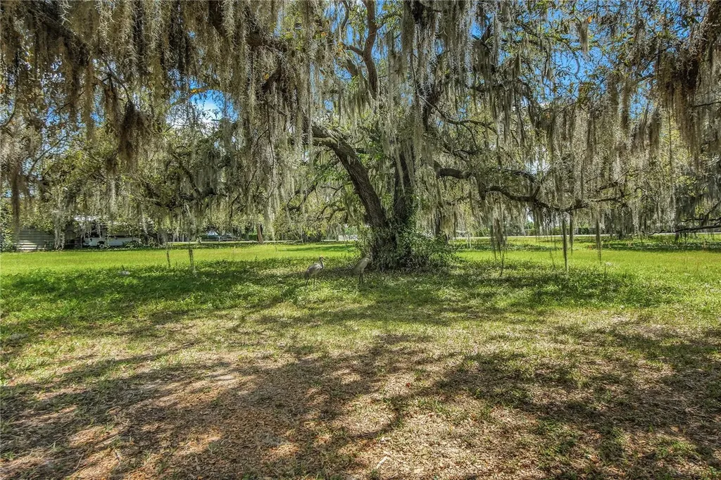 2218 Orkney Drive Leesburg FL 34788