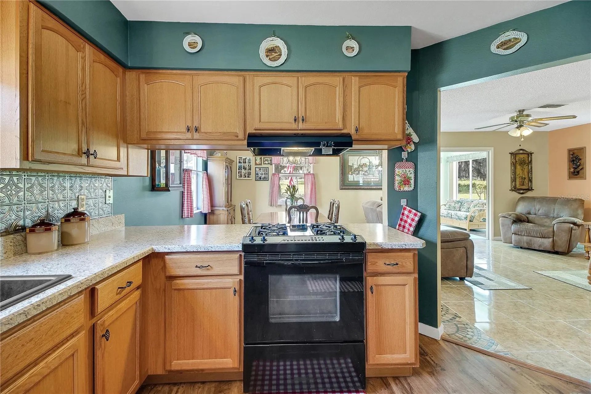 2218 Orkney Drive Leesburg FL 34788
