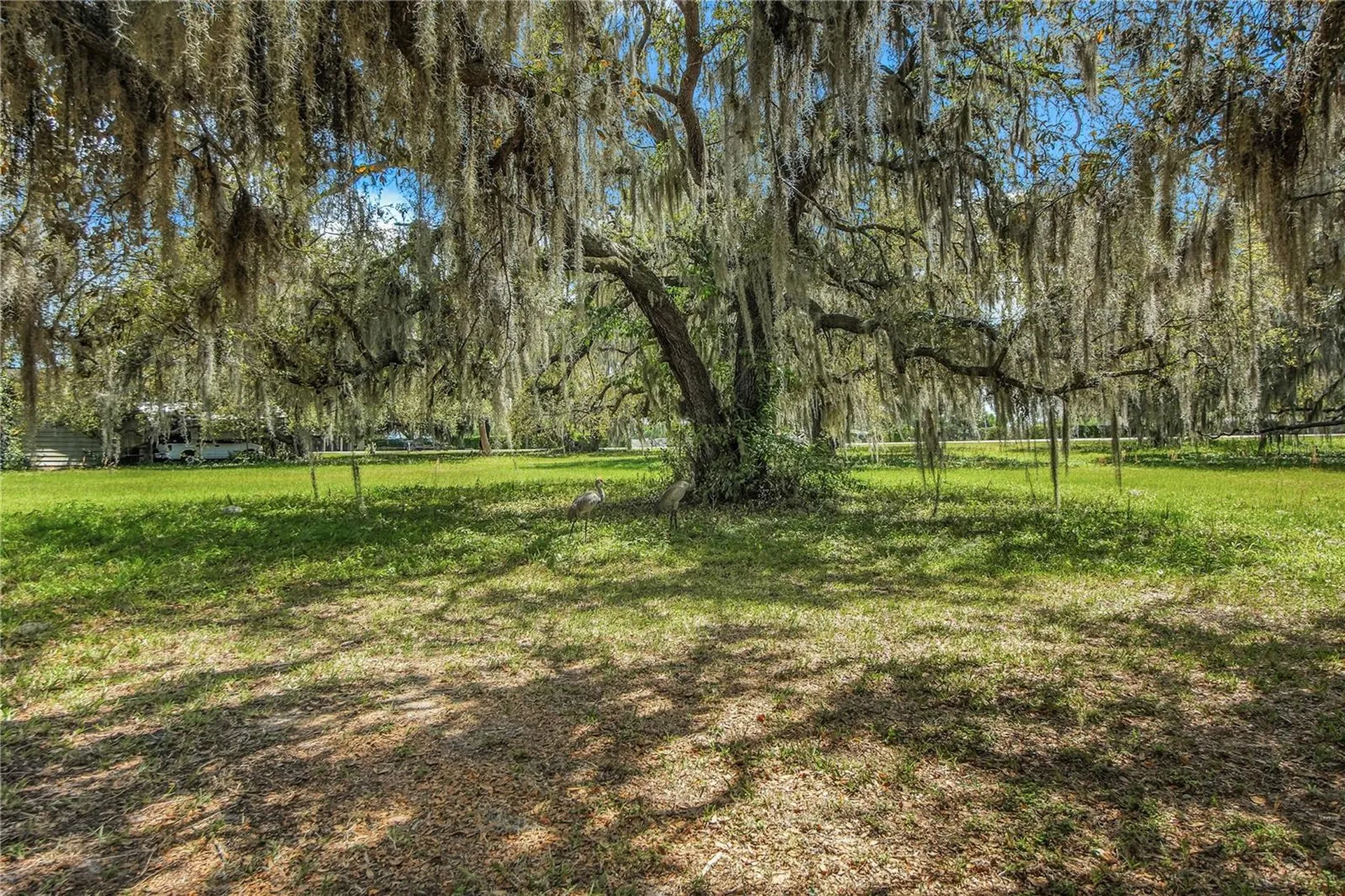 2218 Orkney Drive Leesburg FL 34788