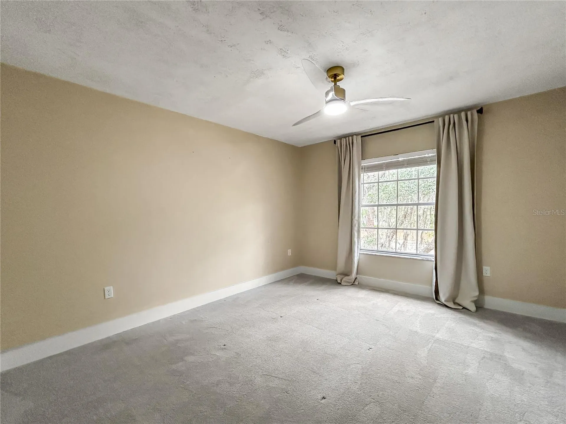 6206 Greenleaf Lane Tampa FL 33617