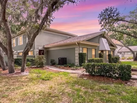 6206 Greenleaf Lane Tampa FL 33617