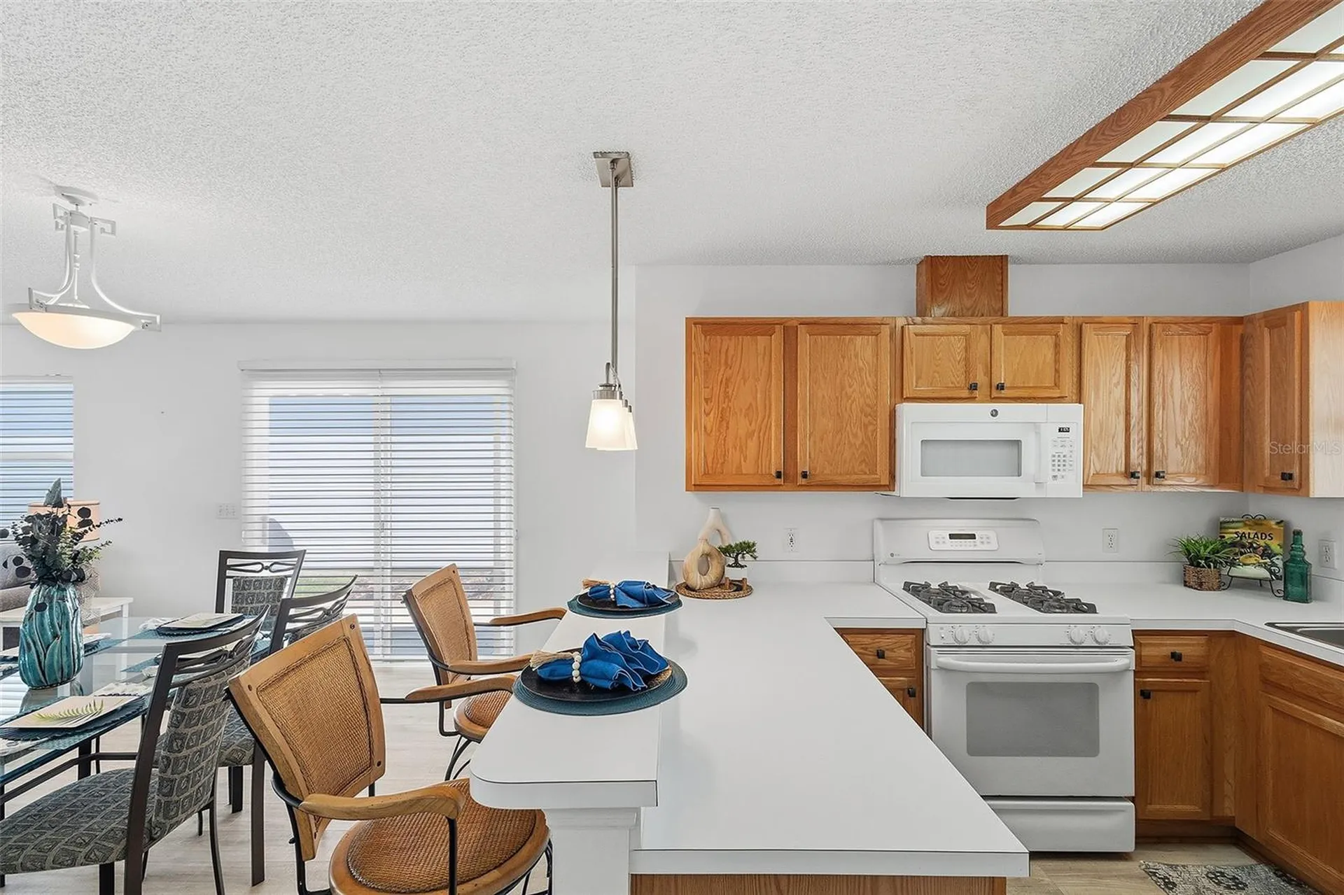 1668 Campos Drive The Villages FL 32162
