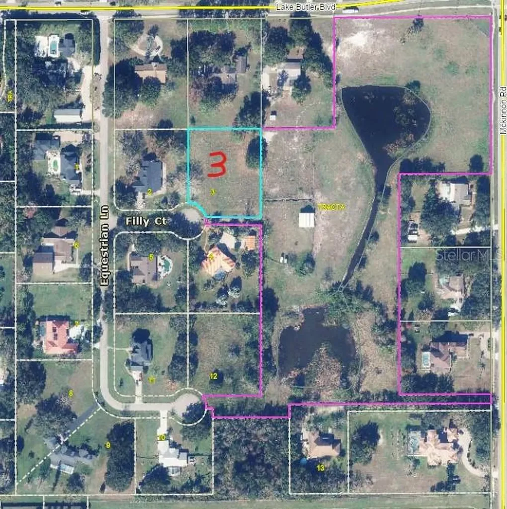13125 Filly Court Windermere FL 34786