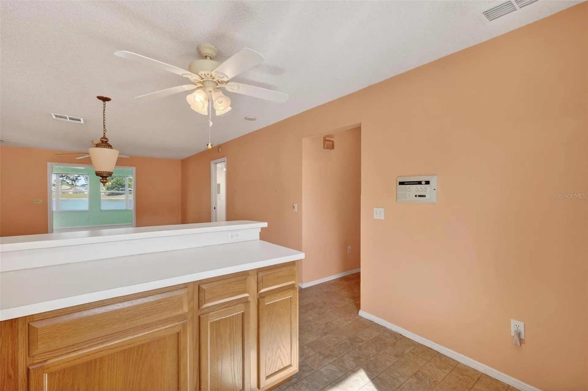930 Camino Del Rey Drive The Villages FL 32159