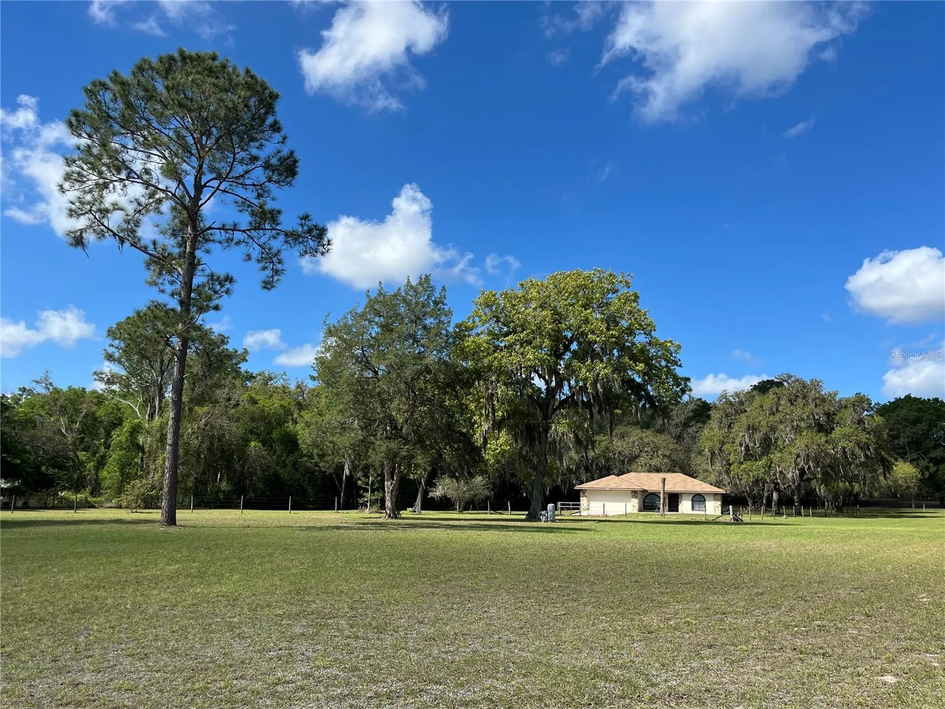 7478 Cr 663 Bushnell FL 33513