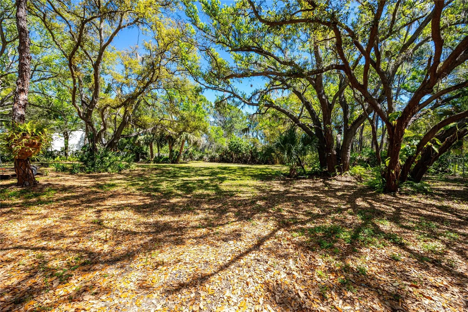 9753 78th Avenue N Seminole FL 33777