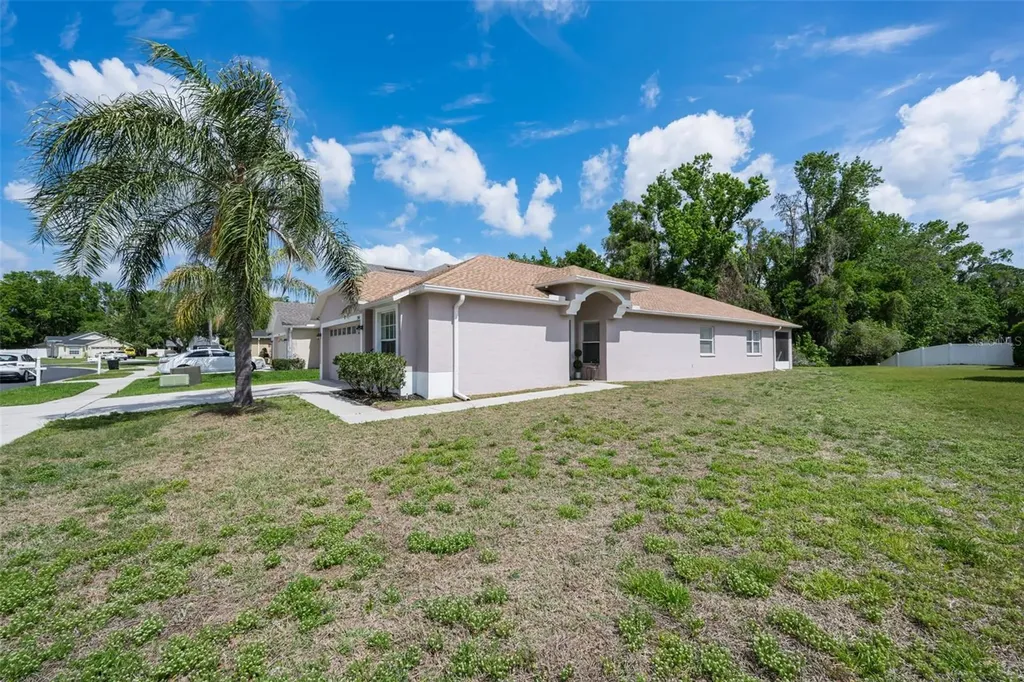 25841 Crippen Drive Land O Lakes FL 34639