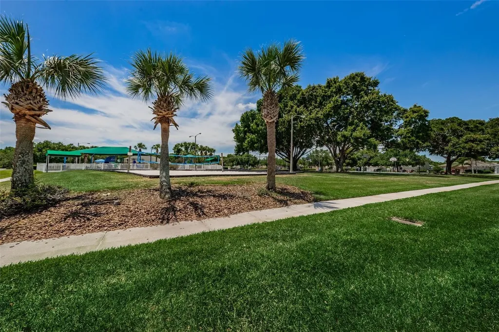 25841 Crippen Drive Land O Lakes FL 34639