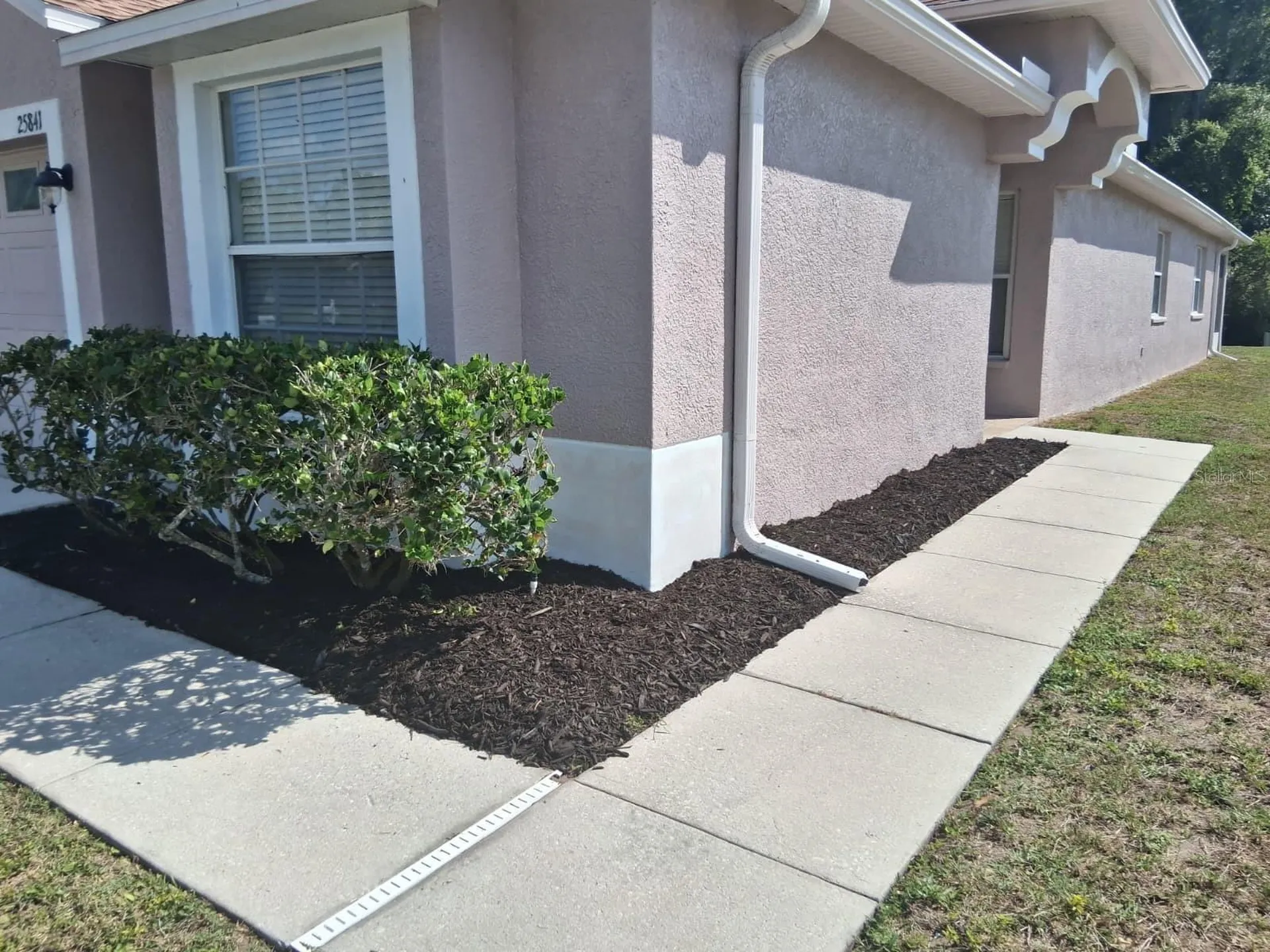 25841 Crippen Drive Land O Lakes FL 34639