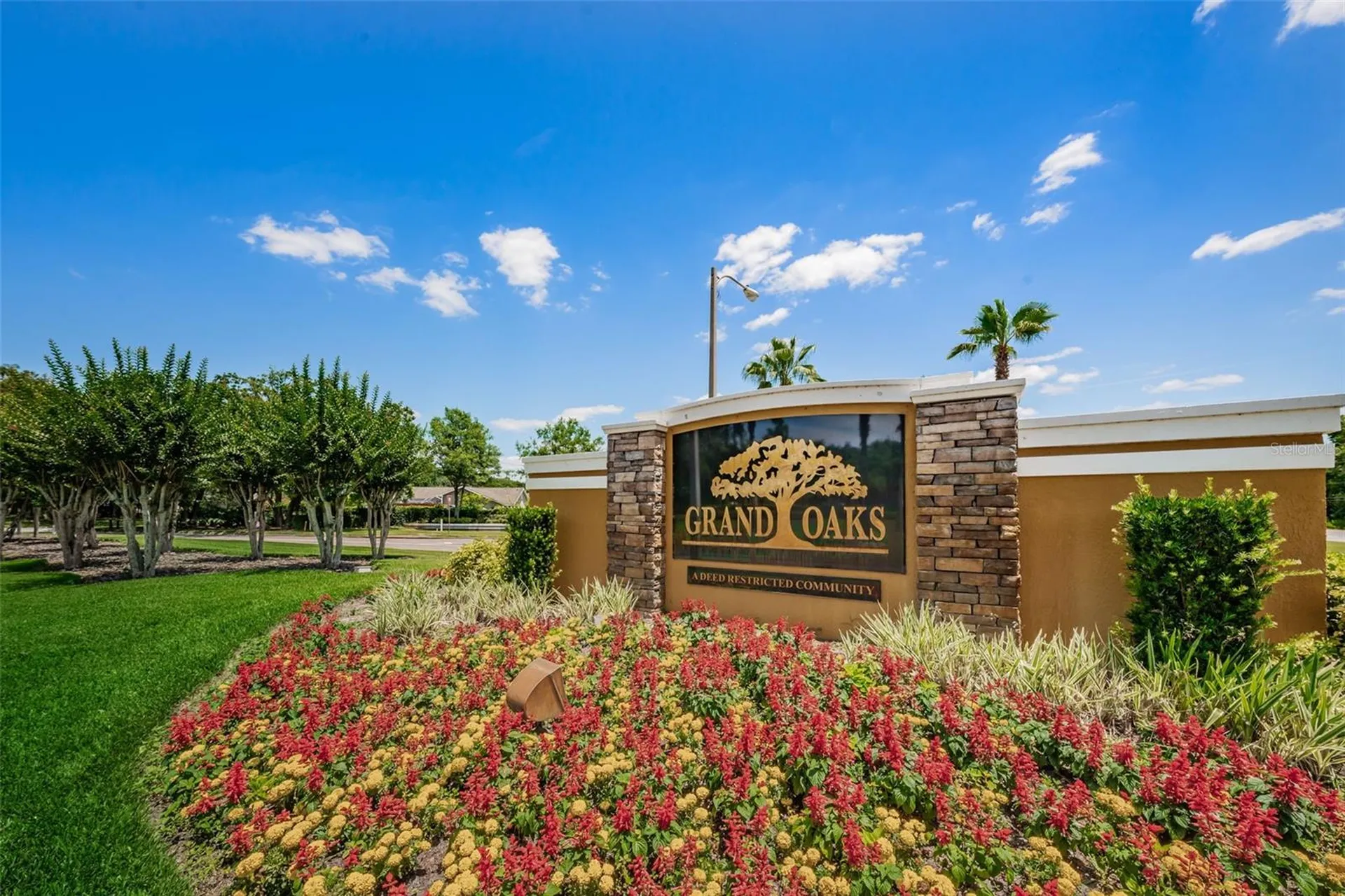 25841 Crippen Drive Land O Lakes FL 34639