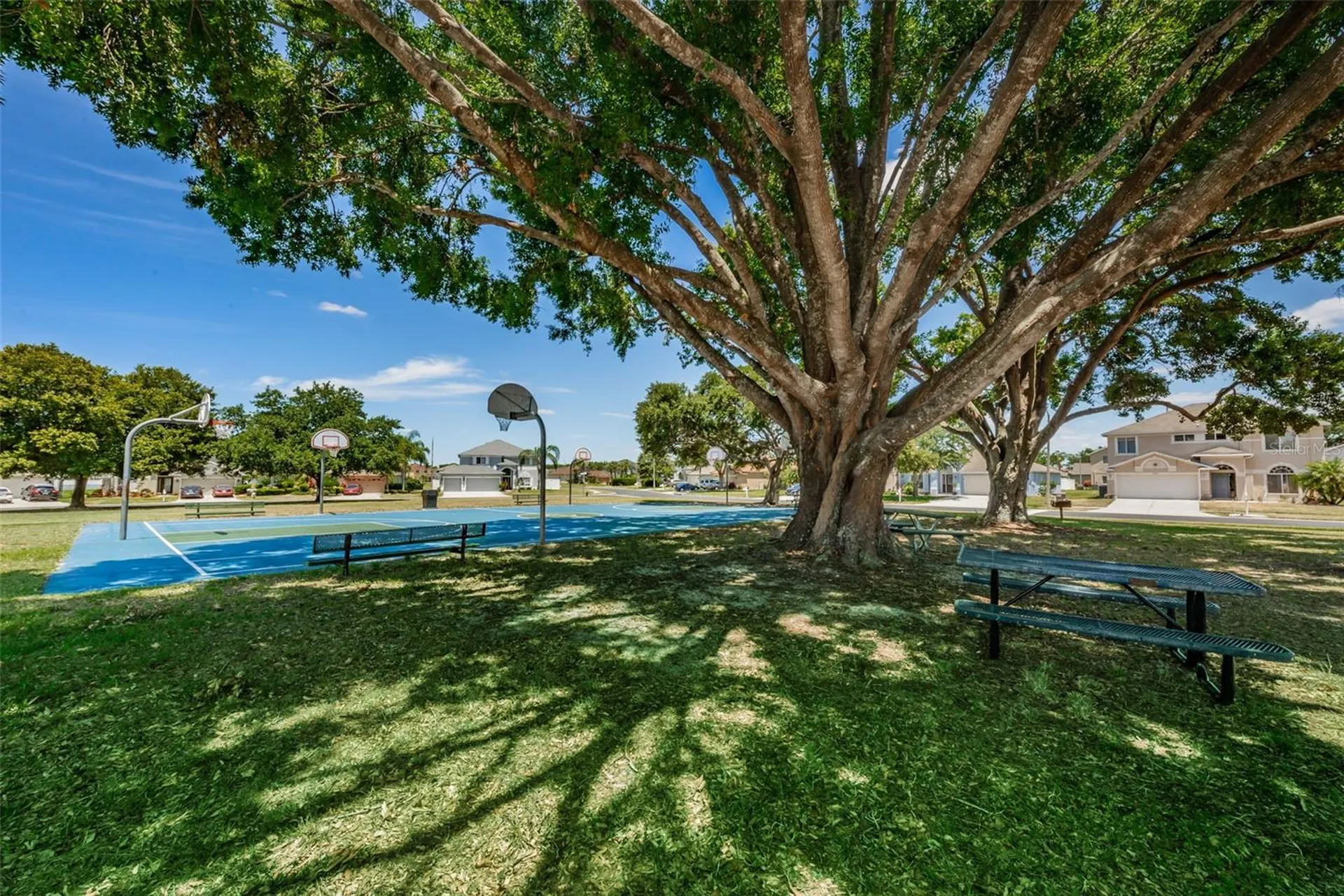 25841 Crippen Drive Land O Lakes FL 34639