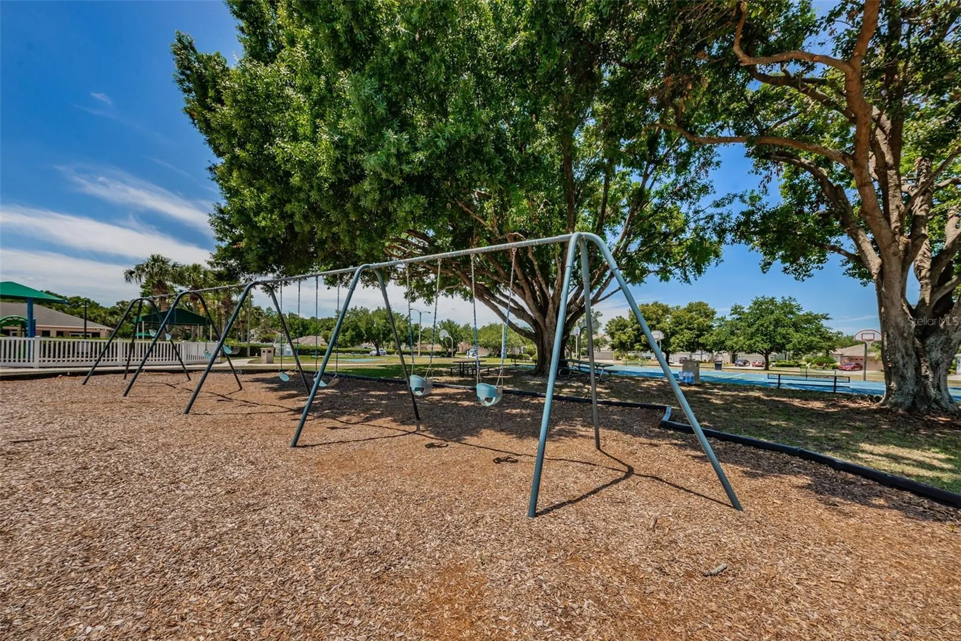 25841 Crippen Drive Land O Lakes FL 34639
