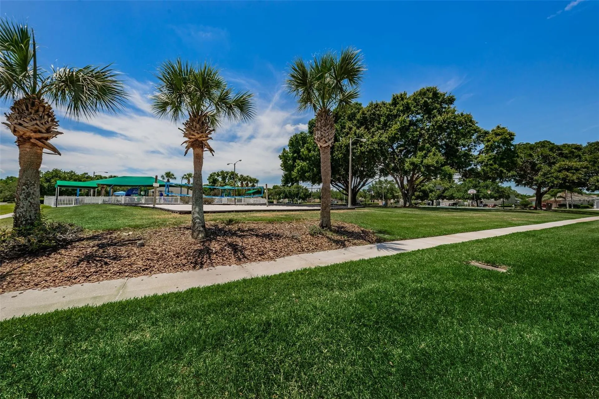 25841 Crippen Drive Land O Lakes FL 34639