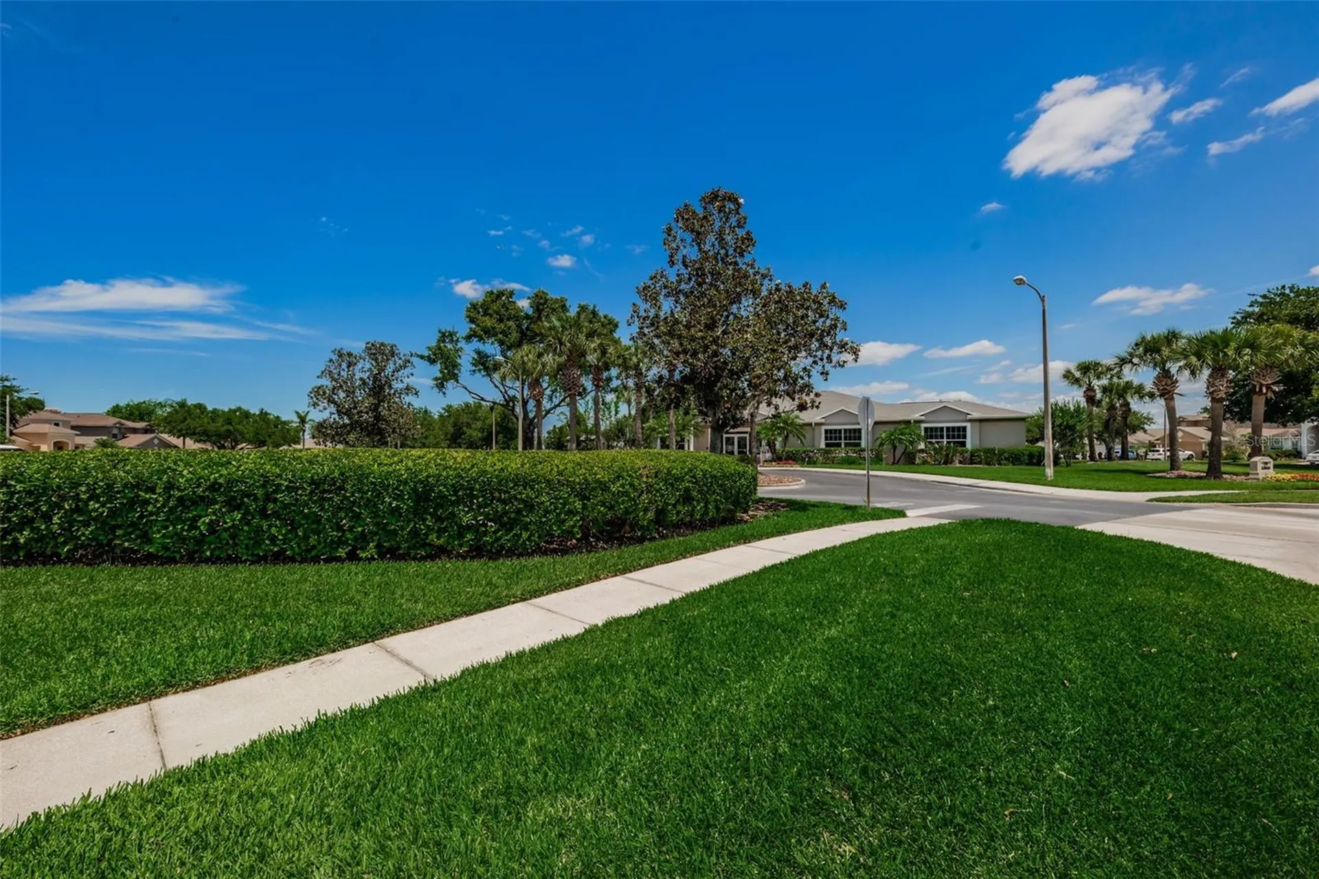 25841 Crippen Drive Land O Lakes FL 34639