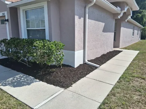 25841 Crippen Drive Land O Lakes FL 34639